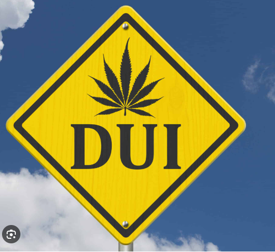 Yield sign with marijuana leaf